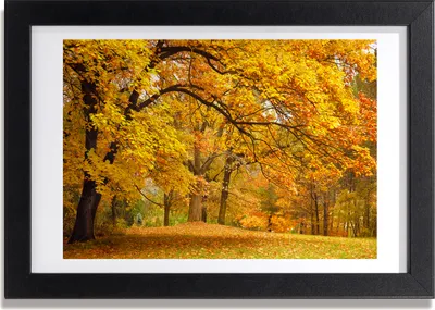 Produktbild von Bild 30x20 MDF-Rahmen, Wandkunst Herbst im Park