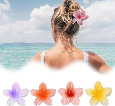 Image de Pinces à cheveux à forte adhérence, lot de 4 pour femmes