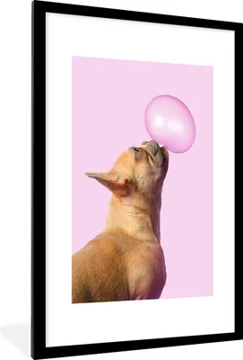 Produktbild von MuchoWow® Gerahmtes Poster Hund - Tiere - Kaugummi - Rosa 60x90 cm - Poster mit Schwarzem Bilderrahmen Wandposter Rahmen Foto Bilder - Dekoration - Wandposter Wohnzimmer - Hochwertig