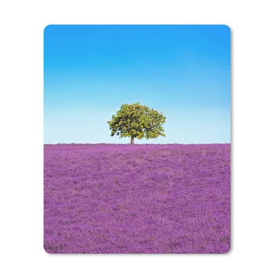 Produktbild von MuchoWow® Mauspad Mousepad Baum - Lila - Himmel - Lavendel 19x23 cm - Mousepads - Maus Mat - Pad - Mausunterlage - Mauspads - Spielen