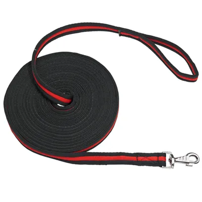 Produktbild von Busse Longe SOFT, Farbe:schwarz/rot, Länge in m:8