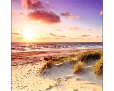 Produktbild von Leinwandbild Sea Harmony 50x50 cm