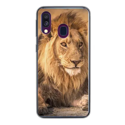 Produktbild von MuchoWow® Handyhülle Schutzhülle Hülle für Samsung Galaxy A40 Löwe - Nahaufnahme - Savanne Silikon Softcase Handy Hülle - Handy-Tasche