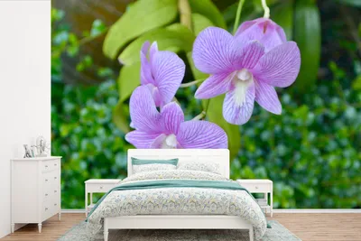 Produktbild von MuchoWow® Fototapete für Wohnzimmer oder Schlafzimmer Wandtapete Vinyl Motivtapete Eine Nahaufnahme von Orchideen - 450x300 cm - Gemusterte