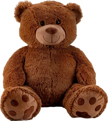A studio shot of a large brown teddy bear sitting down.