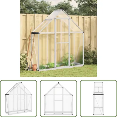 Produktbild von The Living Store Gewächshaus mit Fundamentrahmen Silbern 169x58x195cm Aluminimum
