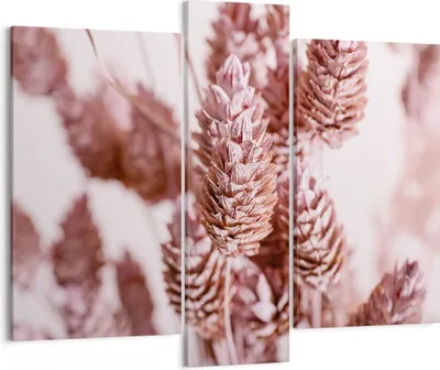 Produktbild von Bild auf Leinwand - Leinwandbild - 3 Teile - Getrocknet Blume Eco - 95x80cm - Wand Bild - Wanddeko - Wandbilder - Leinwanddruck - Bilder - Wanddekoration - Leinwand bilder - Wandbild - CB95x80-4912