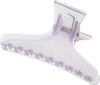 Image de Pinces à compartiments 12 pièces lilas grand plastique