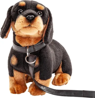 Produktbild von Uni-Toys - Dackel mit Leine - 27 cm (Länge) - Plüsch-Hund - Plüschtier, Kuscheltier