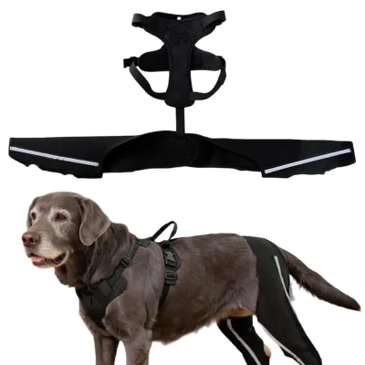 Image de Harnais pour chien, conçu pour la rééducation et le soutien