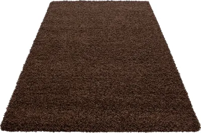 Produktbild von Teppich Wohnzimmer Hochflor Einfarbiges Design Langflor Shaggy Modern Flauschig, Größe: 240 x 340 cm, Farbe: Braun