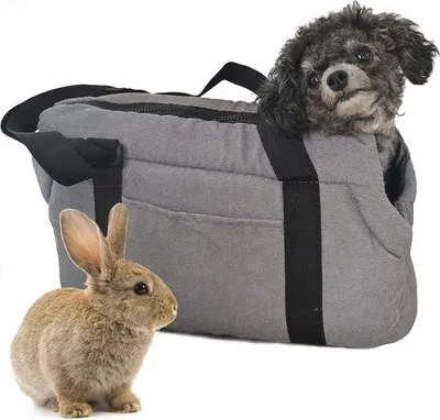 Image de Sac de transport en velours côtelé gris pour petits chiens et chats