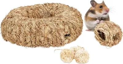 Image de Ensemble d'accessoires pour hamster 5 pièces.