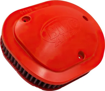 Immagine prodotto di Filtro aria BMC 192x231x80mm per Indian