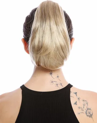 Produktbild von WIG ME UP Zopf Pferdeschwanz kurz glatt Aschblond 622-V-24