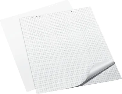 Obrázek produktu pro Q-Connect® KF01982 Flipchart-Block, 68 x 99 cm, blanko, 20 Blatt