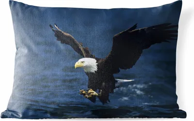 Produktbild von MuchoWow® Outdoor Kissen - Adler - Nahaufnahme - Wasser - 60x40 cm - Wetterfest - Lounge Kissen - Zierkissen - Kissen für Innenräume