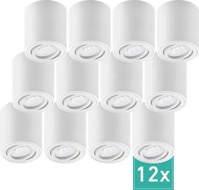 Produktbild von 12er Set Oktaplex Aufbaustrahler Alu schwenkbar inkl. LED Modul 4000K neutralweiß - Aufbauspot weiß