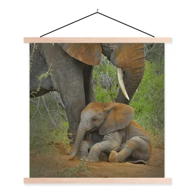 Produktbild von MuchoWow® Textilposter Elefant - Tiere - Sand - Natur 60x60 cm mit holzfarbenen Rahmen - Wanddekoration