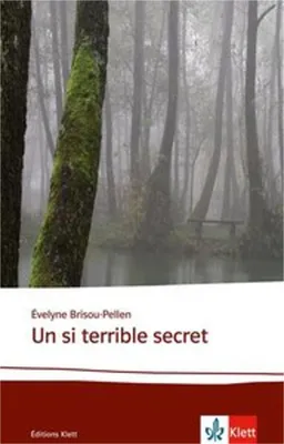 Obrázok produktu pre Un si terrible secret