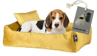 Produktbild von Rohrschneider Hundebett Kuschelsofa Hund Weich + Hundekotbeutelset, Farbe:senf, Größe:M