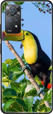 Produktbild von König Design Hülle kompatibel mit Xiaomi Redmi Note 11E Pro Kunststoff Soft Handyhülle - Handy Case Tucan