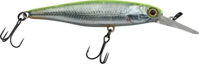 Produktbild von Illex Squirrel 61 SP RT Visible Roach