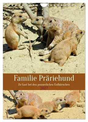 Produktbild von Familie Präriehund (Wandkalender 2027 DIN A4 hoch), CALVENDO Monatskalender