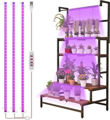 A plant shelf with plants under grow lights.