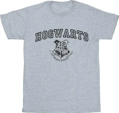 Produktbild von Harry Potter - "Hogwarts" T-Shirt für Herren BI30384 (XXL) (Grau)