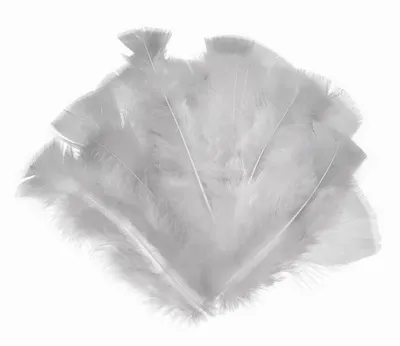 20 Natur-Putenfedern, 11-17cm, Farbwahl, unterschiedliche Farben - DIY Deko Federn weiß