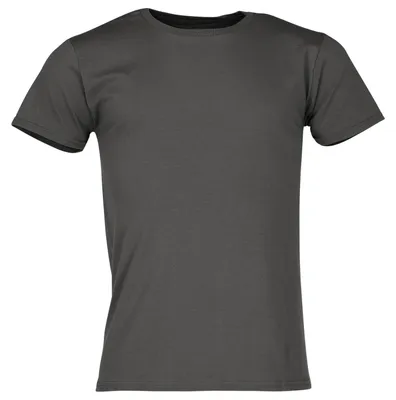 Produktbild von Fruit of the Loom Iconic 150 T-Shirt Farbe: graphit Größe: L