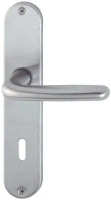 A close-up studio shot of a door handle with a backplate.