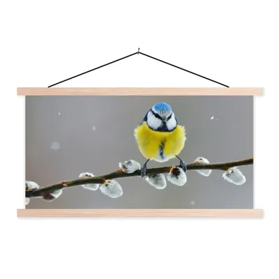 Produktbild von MuchoWow® Textilposter Blaumeise - Vogel - Zweig - Gelb - Blau 60x30 cm mit holzfarbenen Rahmen - Dekoration