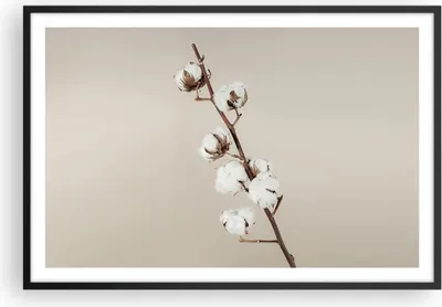Produktbild von Gerahmtes Poster - Schwarzer Rahmen - Baumwolle Zweig Boho - 91,5x61 cm - Wand Bild - Wanddeko - Wandbilder - Kunstposter - Wandposter - Bilderrahmen - Bilder - Kunstdruck - P2BAA91x61-4730