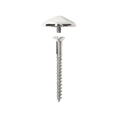 A chrome-plated screw and cap are shown against a white background.