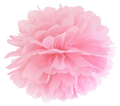 Obrázok produktu pre Pompom rosa 35 cm