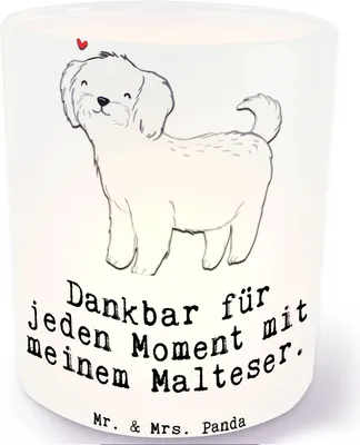 Produktbild von Mr. & Mrs. Panda Teelichthalter Malteser Moment - Transparent - Geschenk, Windlicht aus Glas, Kerzenhalter, Kerzenglas, Glaslaterne, Outdoor
