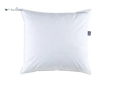 A white pillow is shown against a white background.