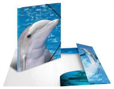 Immagine prodotto di Cartella postale A3 con delfino elastico