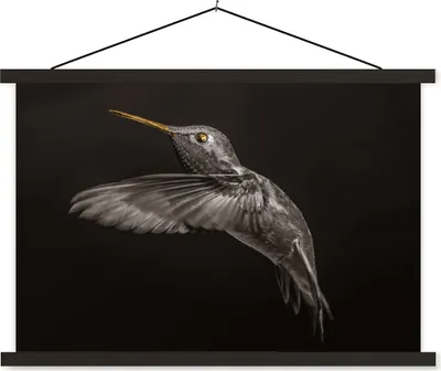 Produktbild von MuchoWow® Textilposter Vogel - Schwarz und Gold 150x100 cm mit schwarzem Rahmen - Schlafzimmer