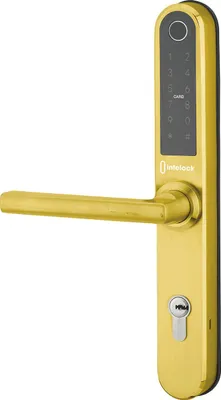 Image de Garniture de porte Intelock Multi THIRARD entraxe 70 Révers. carré 8 - Or - 78911