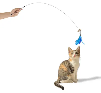 Produktbild von Katzenangel mit Draht · Katzenspielzeug ca. 95 cm · Federanhänger · blau