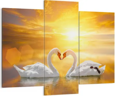Produktbild von Bild auf Leinwand - Leinwandbild - Schwan Wasser Paar - 130x100cm - Wand Bild - Wanddeko - Leinwanddruck - Bilder - Kunstdruck - Wanddekoration - Leinwand bilder - Wandkunst - CB130x100-3872