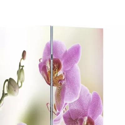 Produktbild von vidaXL Raumteiler klappbar 120 x 170 cm Blume