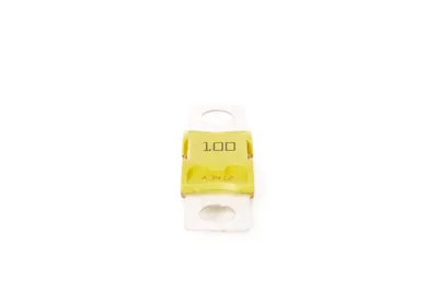 Image de BOSCH Fusible 1 987 531 000