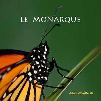 Produktbild von Le monarque