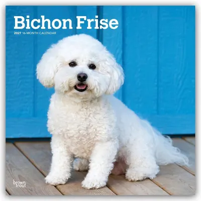 Produktbild von Bichon Frisé 2027 - 16-Monatskalender