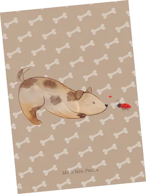 Produktbild von Mr. & Mrs. Panda Postkarte Hund Marienkäfer - Hundeglück - Geschenk, Neugierig, Ansichtskarten, Ansichtskarte, Postkarten, Sprüche, Mischlingshund, Grußkarte, Hunde