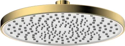 Produktbild von Avapax | Duschkopf Rund - 22,5 Cm - Gold Gebürstet - Abs Material - Runde Kollektion
